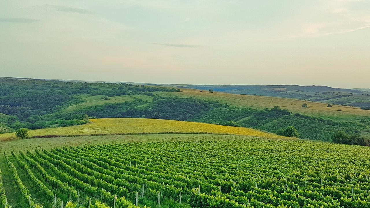 винарна “седем поколения” 4* Mechka